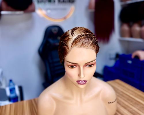 Glueless Prisca Braided Wig